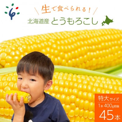 【2023年8月中旬頃出荷開始】北海道産スイートコーン とうもろこし45本　30-008
