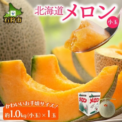 【7月上旬以降配送予定】北海道産赤肉メロン 小玉(約1.0kg×1玉)5-018