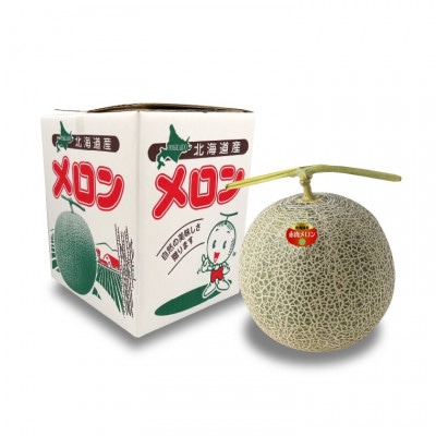 【7月上旬以降配送予定】北海道産赤肉メロン 小玉(約1.0kg×1玉)5-018