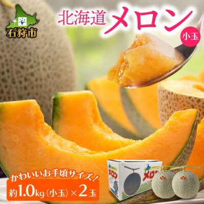【7月上旬以降配送予定】北海道産赤肉メロン 小玉(約1.0kg×2玉)8-046