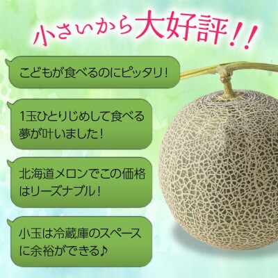 【7月上旬以降配送予定】北海道産赤肉メロン 小玉(約1.0kg×2玉)8-046