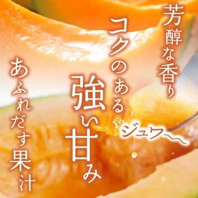 【7月上旬以降配送予定】北海道産赤肉メロン 小玉(約1.0kg×2玉)8-046