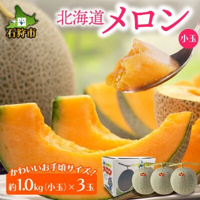 【7月上旬以降配送予定】北海道産赤肉メロン 小玉(約1.0kg×3玉)11-026