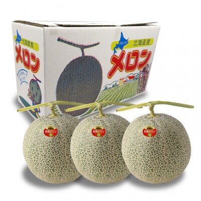 【7月上旬以降配送予定】北海道産赤肉メロン 小玉(約1.0kg×3玉)11-026