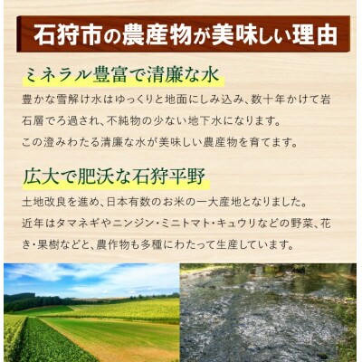 北海道石狩産 ミニトマト(1kg)130082