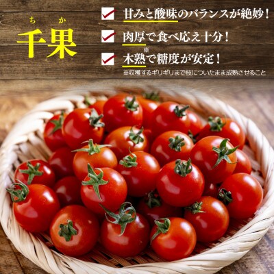北海道石狩産 ミニトマト(2kg)130083