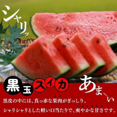 【夏季限定】石狩産 黒玉スイカ 1玉 130080