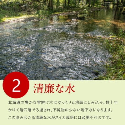 【夏季限定】石狩産 黒玉スイカ 1玉 130080