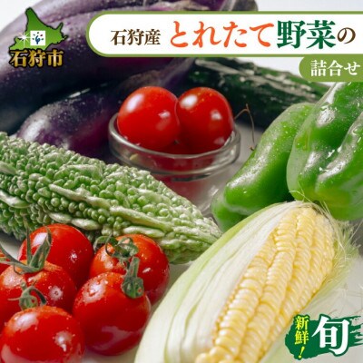 【夏季限定】石狩産 とれたて野菜の詰合せ 130084