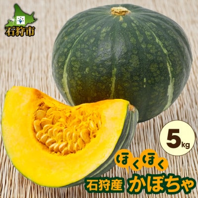 北海道石狩産 かぼちゃ 5kg