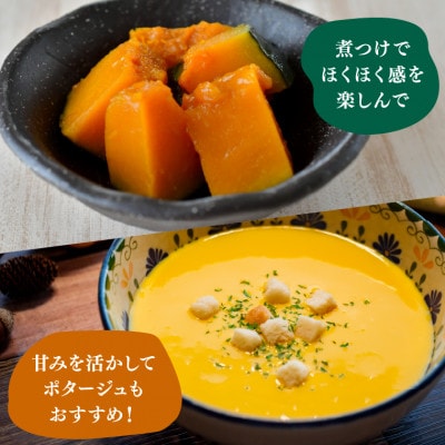 北海道石狩産 かぼちゃ 5kg