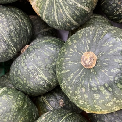 北海道石狩産 かぼちゃ 5kg