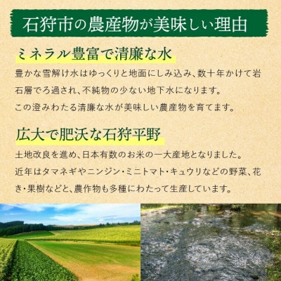北海道 石狩産かぼちゃ 10kg