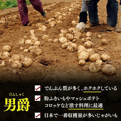 北海道 石狩産じゃがいも(男爵) S～Lサイズ混載 5kg