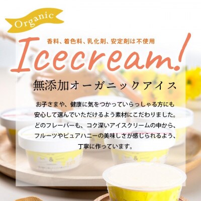 桂井養蜂園国産はちみつ使用 北海道産フルーツの無添加アイス 12個セット 130010001