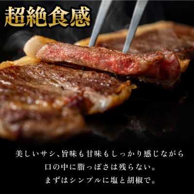 黒毛和牛サーロインステーキ(180g×2枚 計360g)