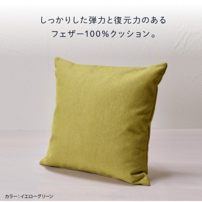 blocco フェザー100% クッション(40cm×40cm)27-4040 460096 グレー