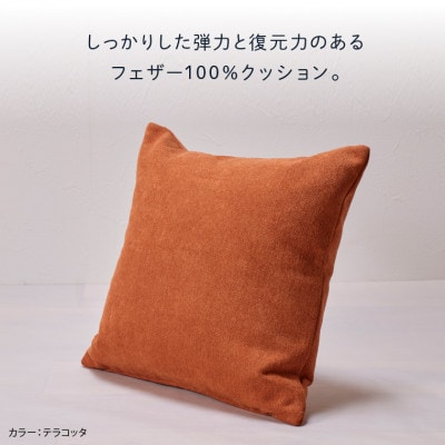 blocco フェザー100% クッション(65cm×65cm)35 460113 ホワイト