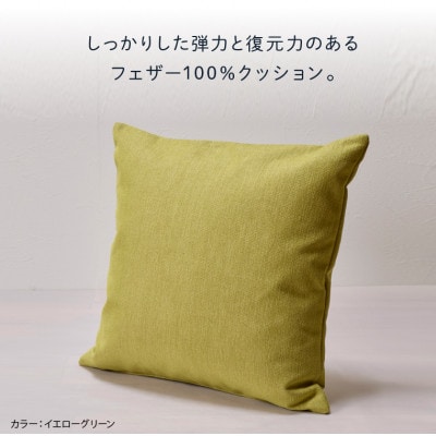 blocco フェザー100% クッション(65cm×65cm)37 460117 イエローグリーン