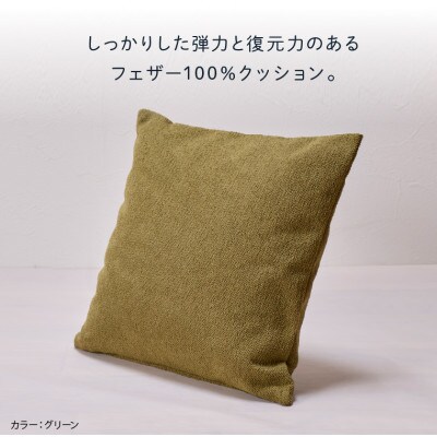 blocco フェザー100% クッション(55cm×55cm)30 460107 テラコッタ