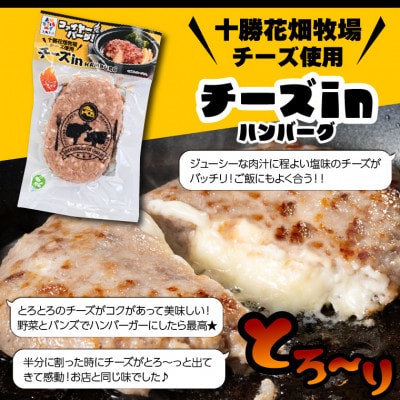 ファイヤーバーグ!ハンバーグ3種セット 4個入【レギュラー×2、チーズ×1、ポテサラ×1】