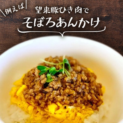 石狩名産・望来豚ひき肉　合計1kg