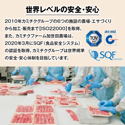 【厳選精肉と楽しむ薩摩の鍋つゆ】黒毛和牛すきしゃぶ　牛しゃぶ和風出汁　K002-019_01