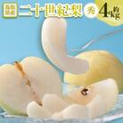 二十世紀梨　秀 約4kg