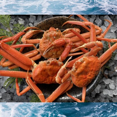 【蒸し】訳あり足折れ松葉ガニ　1kg
