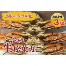 【魚倉】松葉ガニ　生　おまかせセット　3kg訳あり