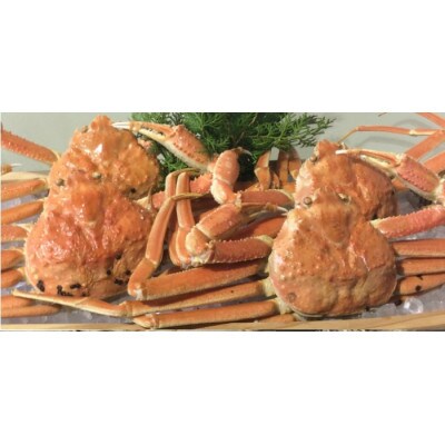 【魚倉】松葉ガニ　ボイル　おまかせセット　3kg訳あり