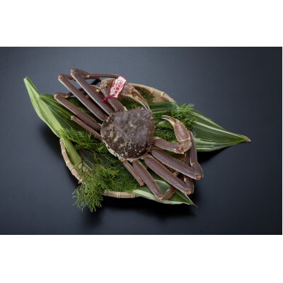 【魚倉】タグ付き生松葉ガニ(950g)