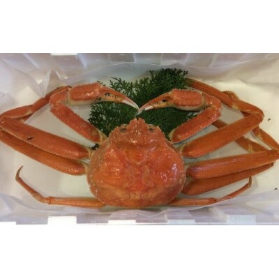 【魚倉】足1本なしボイル松葉ガニ訳あり(950g)