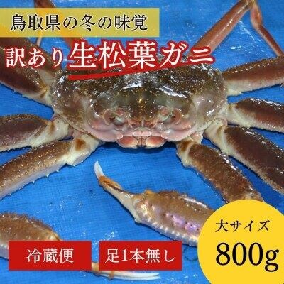 【魚倉】足1本なし生松葉ガニ訳あり(大800g)