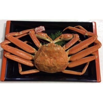 【魚倉】タグ付きボイル松葉ガニ(中)