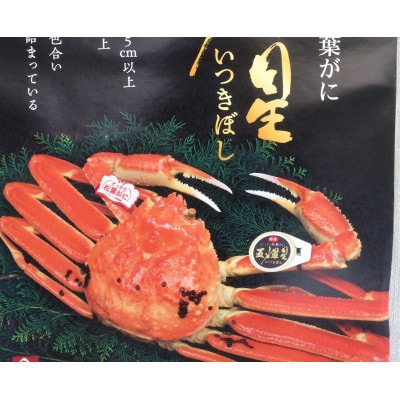 【魚倉】五輝星生松葉ガニ(1.2kg)数量限定品