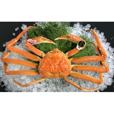【魚倉】五輝星ボイル松葉ガニ(1.2kg)数量限定品