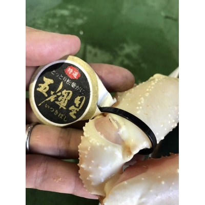 【魚倉】五輝星ボイル松葉ガニ(1.2kg)数量限定品