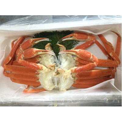 【魚倉】ボイル若松葉ガニ 4尾分8肩(足1～2本なし含む)
