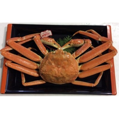 【魚倉】タグ付きボイル松葉ガニ(並500g)