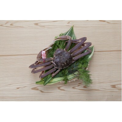 【先行予約】【魚倉】タグ付きボイル松葉ガニ(1,100g)