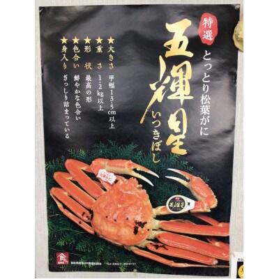 【先行予約】【魚倉】五輝星生松葉ガニ(1.2kg)数量限定品
