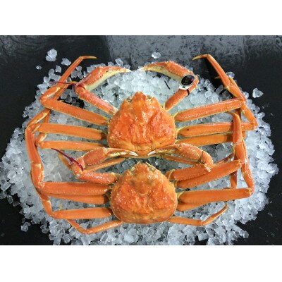 【先行予約】【魚倉】五輝星ボイル松葉ガニ(1.2kg)数量限定品