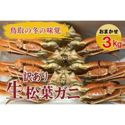 【先行予約】【魚倉】松葉ガニ　生　おまかせセット　3kg訳あり
