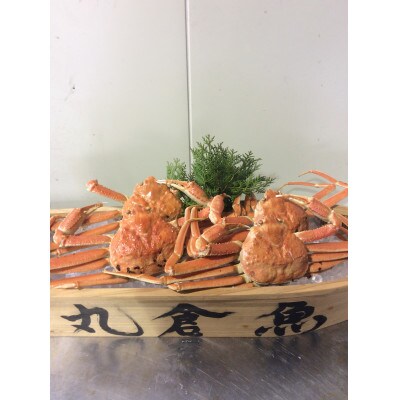 【先行予約】【魚倉】松葉ガニ　ボイル　おまかせセット　3kg程度　訳あり