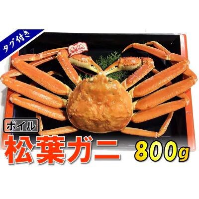 【先行予約】【魚倉】タグ付きボイル松葉ガニ(大800g)