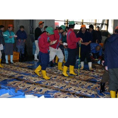 【先行予約】【魚倉】足1本なしボイル松葉ガニ訳あり(大800g)