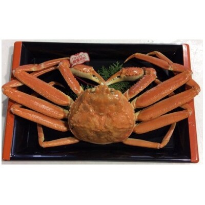 【先行予約】【魚倉】タグ付きボイル松葉ガニ(並500g)