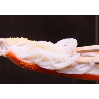 【先行予約】【魚倉】タグ付きボイル松葉ガニ(並500g)