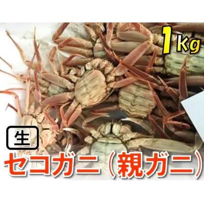 【先行予約】【魚倉】活お任せセコガニ1kgセット